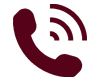 Phone Icon